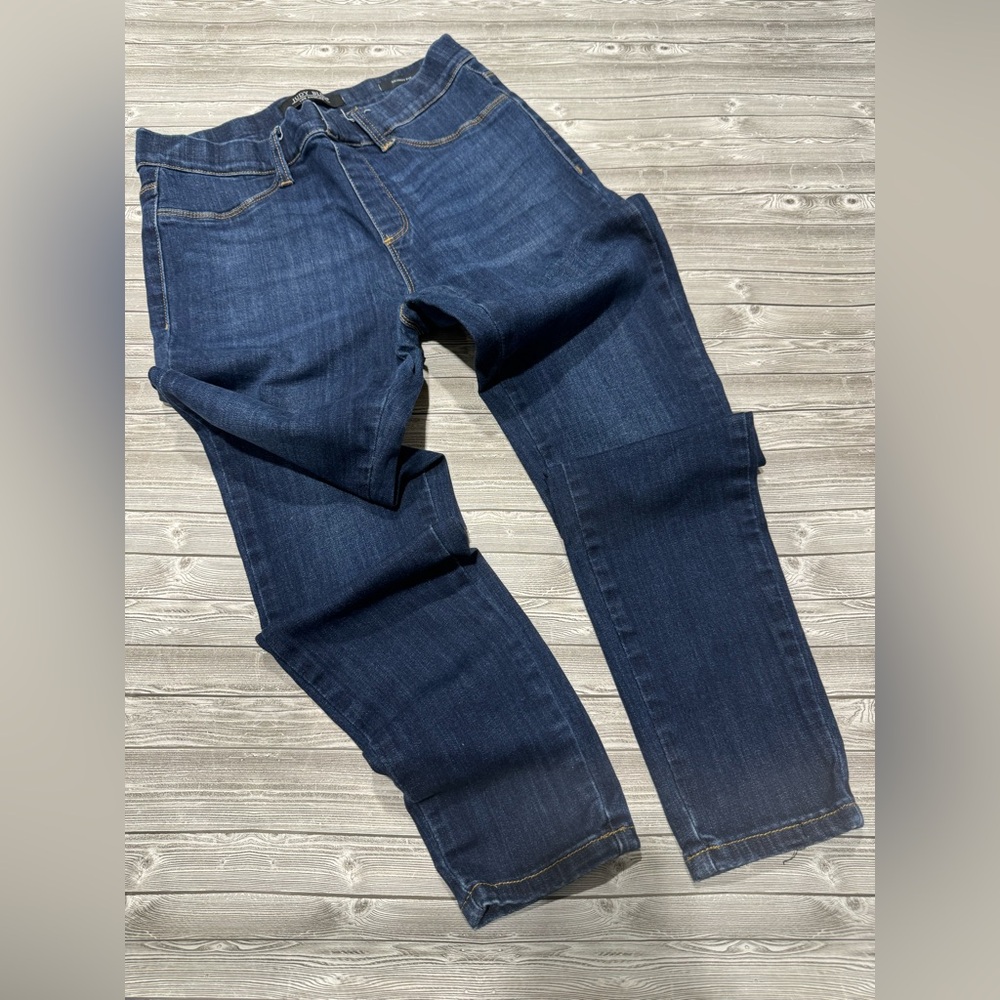 Judy Blue Jegging size 9/29